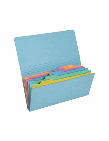 TRIEUR EXACOMPTA POCKET 6 COMPARTIMENTS CARTE LUSTREE 26X13CM COLORIS AQUAREL ASSORTIS BLEU CORAIL MAUVE
