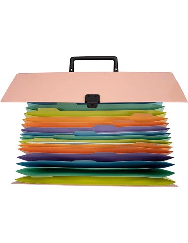 TRIEUR EXACOMPTA FAMILIAL A POIGNEE AQUAREL ASSORTIE 18 COMPARTIMENTS