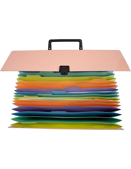 TRIEUR EXACOMPTA FAMILIAL A POIGNEE AQUAREL ASSORTIE 18 COMPARTIMENTS