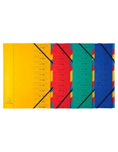 TRIEUR EXACOMPTA CARTE LUSTRÉE 355G A4+ 245X322MM DOS AGRAFÉ 12 COMPARTIMENTS COUVERTURE IMPRIMÉE 4 COLORIS ASSORTIS