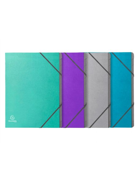 TRIEUR EXACOMPTA AGRAFE TEKSTO POLYPROPYLENE 3  RABATS12 COMPARTIMENTS A4 ASSORTIMENT