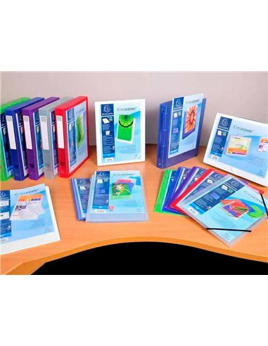 PROTEGE-DOCUMENTS PERSONNALISABLE EXACOMPTA POLYPROPYLENE SEMI-RIGIDE 24X32CM 200 VUES COLORIS