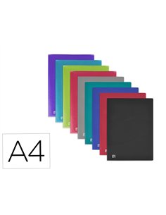 PROTEGE-DOCUMENTS OXFORD OSMOSE PP A4 60 POCHETTES 120 VUES DECOUPE COIN COLORIS ASSORTIS OPAQUES/TRANSLUCIDES