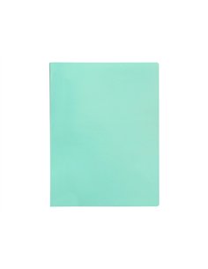 PROTEGE-DOCUMENTS LIDERPAPEL POLYPROPYLENE COUVERTURE  FLEXIBLE 20 POCHETTES FIXES A4 210X297MM VERT POMME 2