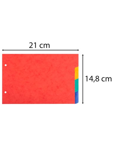 INTERCALAIRES POUR FICHES BRISTOL A5 148X210MM 4  POSITIONS