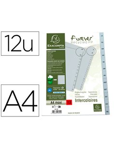 INTERCALAIRES IMPRIMES MENSUELS EXACOMPTA  POLYPROPYLENE A4 12POSITIONES / MOIS GRIS