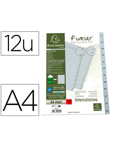 INTERCALAIRES IMPRIMES MENSUELS EXACOMPTA  POLYPROPYLENE A4 12POSITIONES / MOIS GRIS