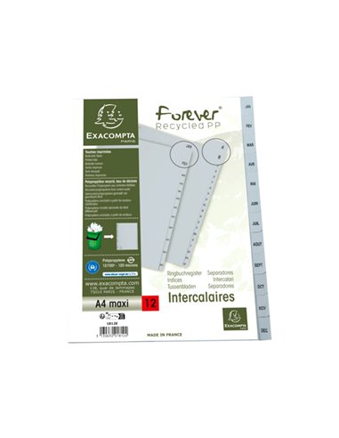 INTERCALAIRES IMPRIMES MENSUELS EXACOMPTA  POLYPROPYLENE A4 12POSITIONES / MOIS GRIS