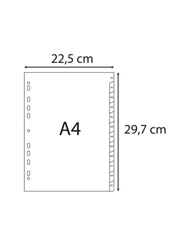INTERCALAIRES IMPRIMES MENSUELS EXACOMPTA  POLYPROPYLENE A4 12POSITIONES / MOIS GRIS