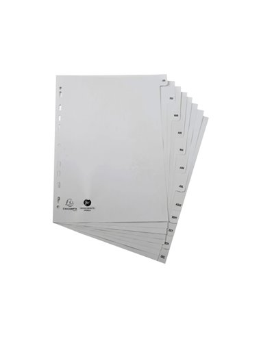 INTERCALAIRES IMPRIMES MENSUELS EXACOMPTA  POLYPROPYLENE A4 12POSITIONES / MOIS GRIS