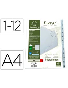 INTERCALAIRES IMPRIMES NUMERIQUES EXACOMPTA  POLYPROPYLENE A4 12POSITIONES /NUMERIQUE GRIS