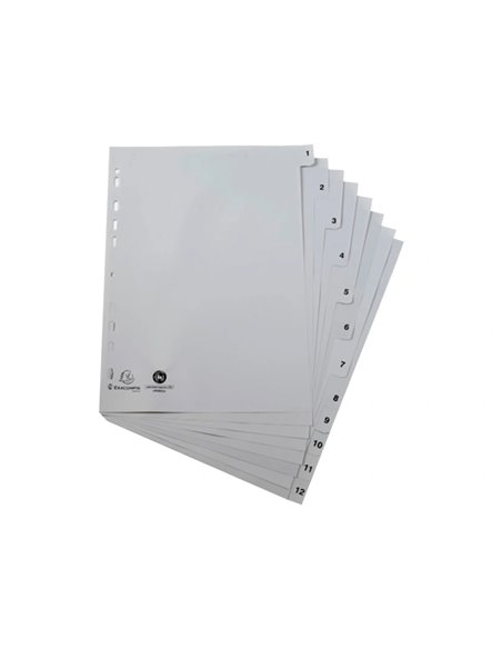 INTERCALAIRES IMPRIMES NUMERIQUES EXACOMPTA  POLYPROPYLENE A4 12POSITIONES /NUMERIQUE GRIS