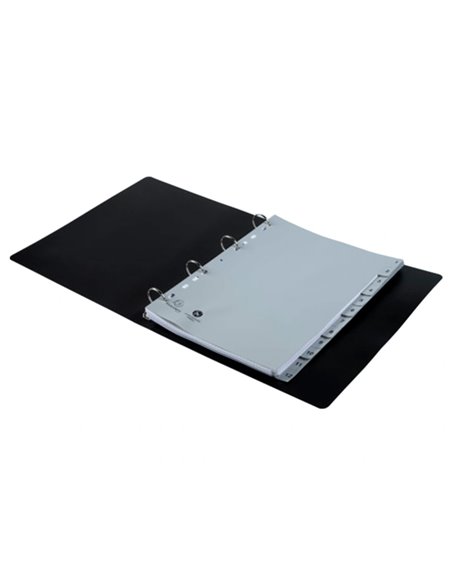 INTERCALAIRES IMPRIMES NUMERIQUES EXACOMPTA  POLYPROPYLENE A4 12POSITIONES /NUMERIQUE GRIS