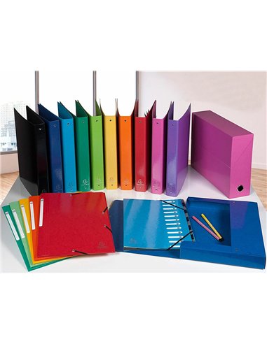 Boite transfert exacompta iderama carton recouvert papier toile 15/10e 25x33cm dos 90mm oeillet prehension.