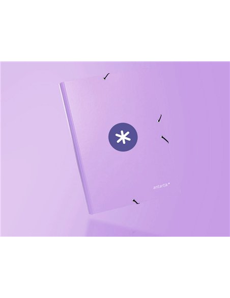 Chemise antartik carton remborde a4+ 3 rabats elastique coloris lavande.
