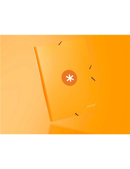 Chemise antartik carton remborde a4+ 3 rabats elastique coloris jaune moutarde.