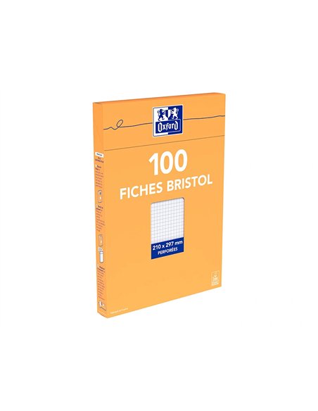 Fiche bristol universelle 210x297 bloc sac h.100.