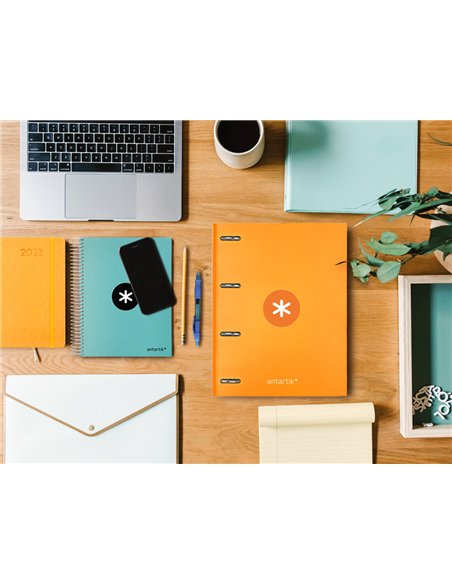 Classeur antartik 4 anneaux ronds 25mm a4 carton remborde coloris jaune moutarde.