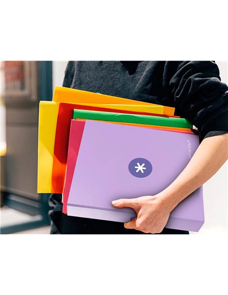 Classeur antartik 4 anneaux end 40mm a4+ carton remborde coloris lavande.