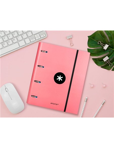 Classeur antartik 4 anneaux ronds 40mm a4 carton rembordé feuillets mobiles q5x5 coloriscorail.