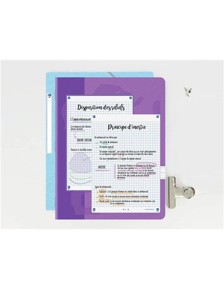 Fiches bristol oxford revision 2.0 a5 perforee 32 fiches/film q5x5 cadre blanc.