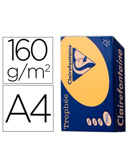 Papier clairefontaine multifonction couleur trophe a4 160g/m2bouton d'or parfaite opacite paquet 250.