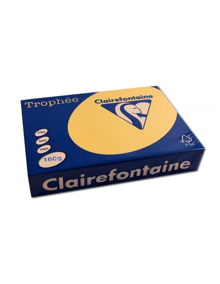 Papier clairefontaine multifonction couleur trophe a4 160g/m2bouton d'or parfaite opacite paquet 250.