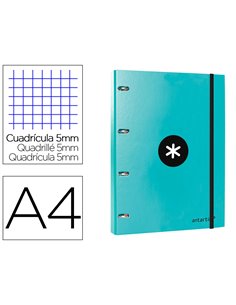 Classeur antartik 4 anneaux ronds 25mm a4 carton remborde feuillets mobiles q5x5 colorismenthe.