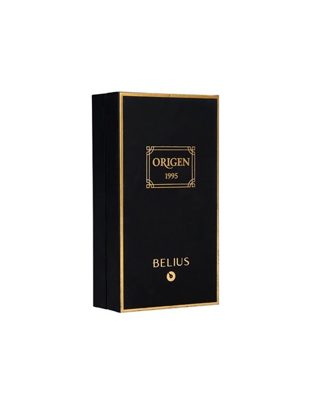 Stylo-plume et flacon d'encre belius origen aluminium brosse encre noire coloris noir dans coffret cadeau.