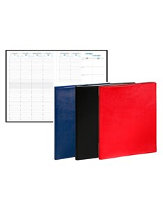 Agenda exacompta consultationsbarbara plastique 13 mois decembre/decembre 210x290mm coloris assortis.