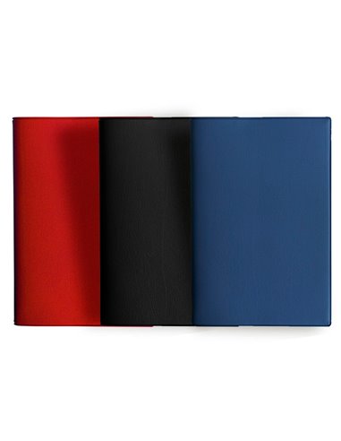 Agenda exacompta consultationsbarbara plastique 13 mois decembre/decembre 210x290mm coloris assortis.