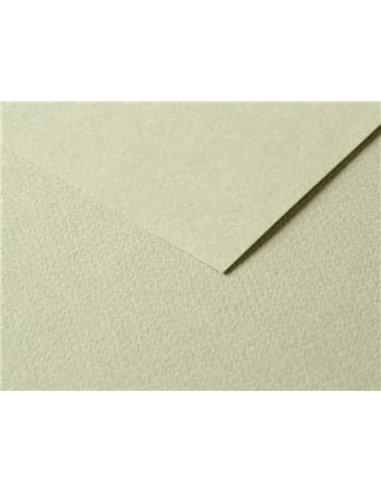 Papier dessin clairefontaine a grain 160g 1 surface grainee 1 lisse 50x65cm paquet 25f coloris vert.