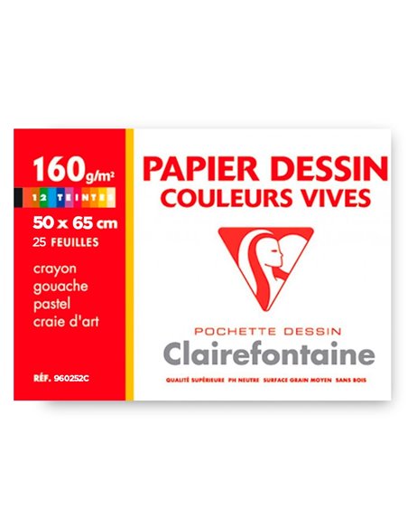 Papier dessin clairefontaine a grain 160g 1 surface grainee 1 lisse 50x65cm paquet 24f coloris vifs 24.