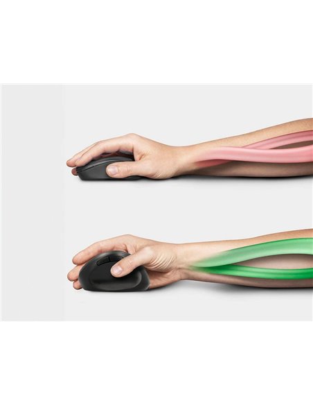 Souris q-connect optique sans fil ergonomique vertical dpi 800/1200/1600 piles aa coloris noir.