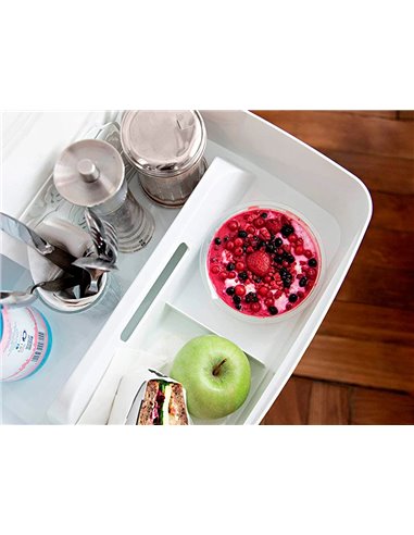 Plateau rangement leitz mybox poignee de transport 307x101x375mm blanc.