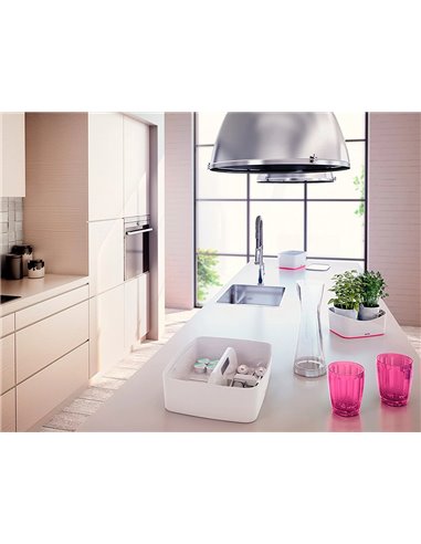 Plateau rangement leitz mybox poignee de transport 307x101x375mm blanc.