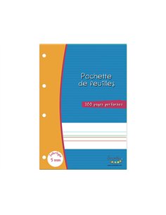 Feuillets mobiles hamelin serpodile perfores a4 100 pages double ligne 5mm niveau 2.