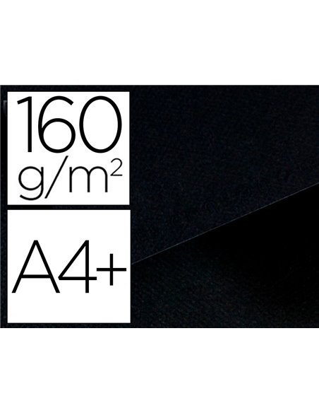 Papier dessin canson feuille mi-teintes n 425 grain gelatine haute teneur coton 160g a4 coloris noir.