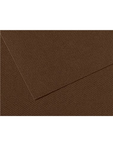 Papier dessin canson feuille mi-teintes n 501 grain gelatine haute teneur coton 160g 50x65cm unicolore marron.