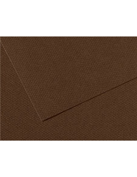 Papier dessin canson feuille mi-teintes n 501 grain gelatine haute teneur coton 160g 50x65cm unicolore marron.