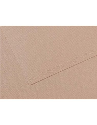 Papier dessin canson feuille mi-teintes n 122 grain gelatine haute teneur coton 160g 50x x65cm unicolore gris flanelle.