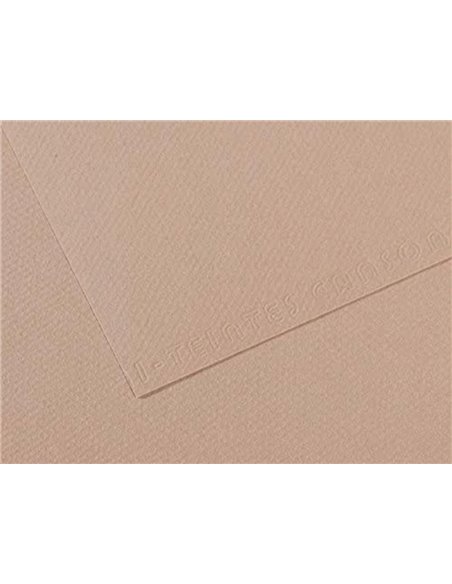 Papier dessin canson feuille mi-teintes n 122 grain gelatine haute teneur coton 160g 50x x65cm unicolore gris flanelle.