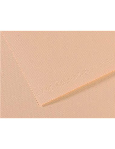 Papier dessin canson feuille mi-teintes n 112 grain gelatine haute teneur coton 160g 50x65cm couleur coquille.