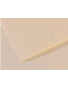 Papier dessin canson feuille mi-teintes n 110 grain gelatine haute teneur coton 160g 50x65cm unicolore lys. 2