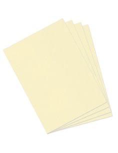 Papier dessin canson feuille mi-teintes n 101 grain gelatine haute teneur coton 160g 50x x65cm couleur citronnelle. 2
