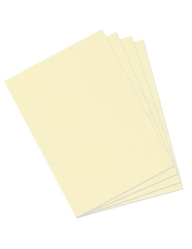 Papier dessin canson feuille mi-teintes n 101 grain gelatine haute teneur coton 160g 50x x65cm couleur citronnelle.