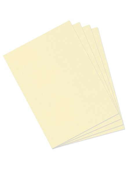 Papier dessin canson feuille mi-teintes n 101 grain gelatine haute teneur coton 160g 50x x65cm couleur citronnelle.
