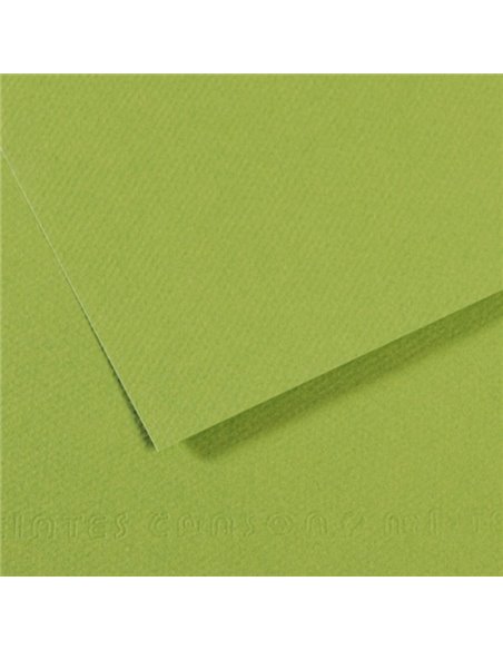 Papier dessin canson feuille mi-teintes n 475 grain gelatine haute teneur coton 160g 50x x65cm unicolore vert pomme.