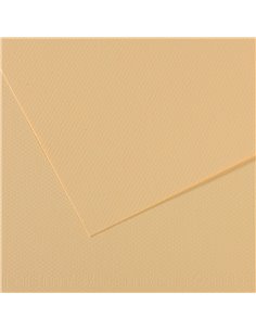 Papier dessin canson feuille mi-teintes n 407 grain gelatine haute teneur coton 160g 50x65cm unicolore lichen.