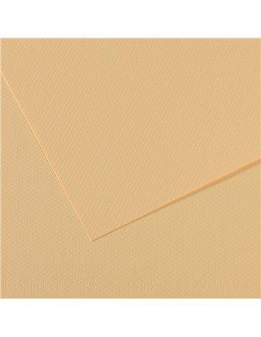 Papier dessin canson feuille mi-teintes n 407 grain gelatine haute teneur coton 160g 50x65cm unicolore lichen.